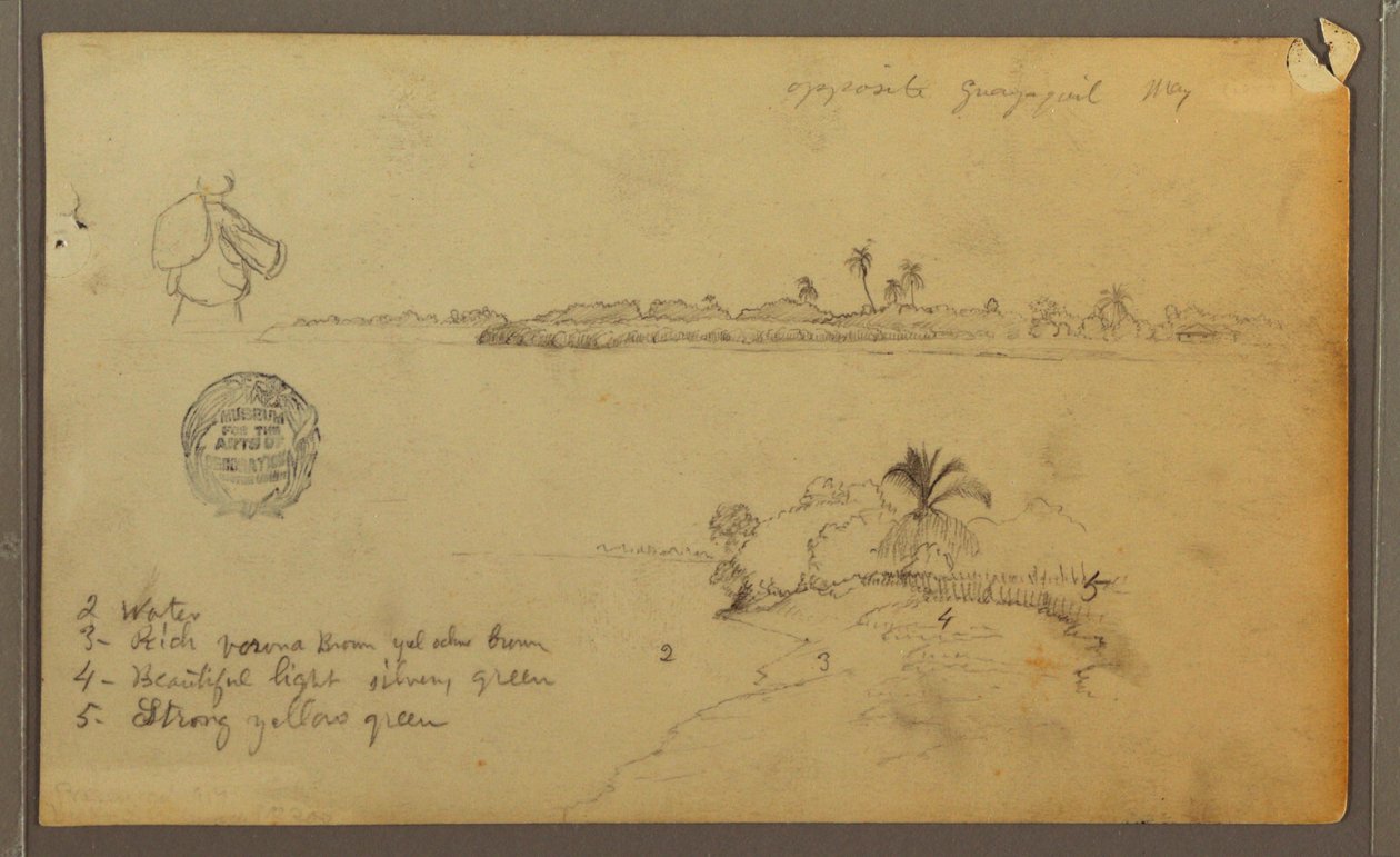 Guayas Nehri