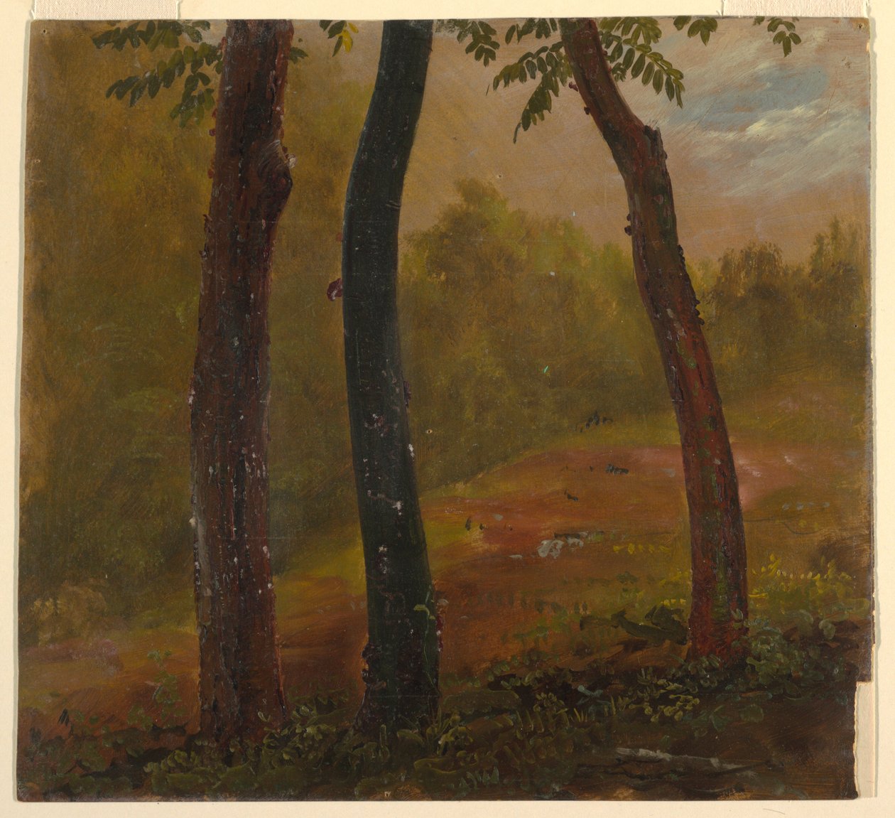 Ormanlık Sahne, Jamaika by Frederic Edwin Church