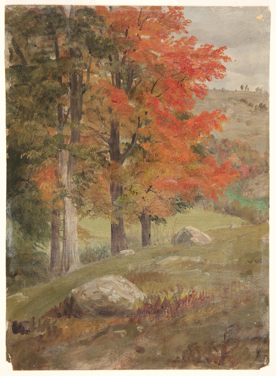 Sonbaharda Orman by Frederic Edwin Church