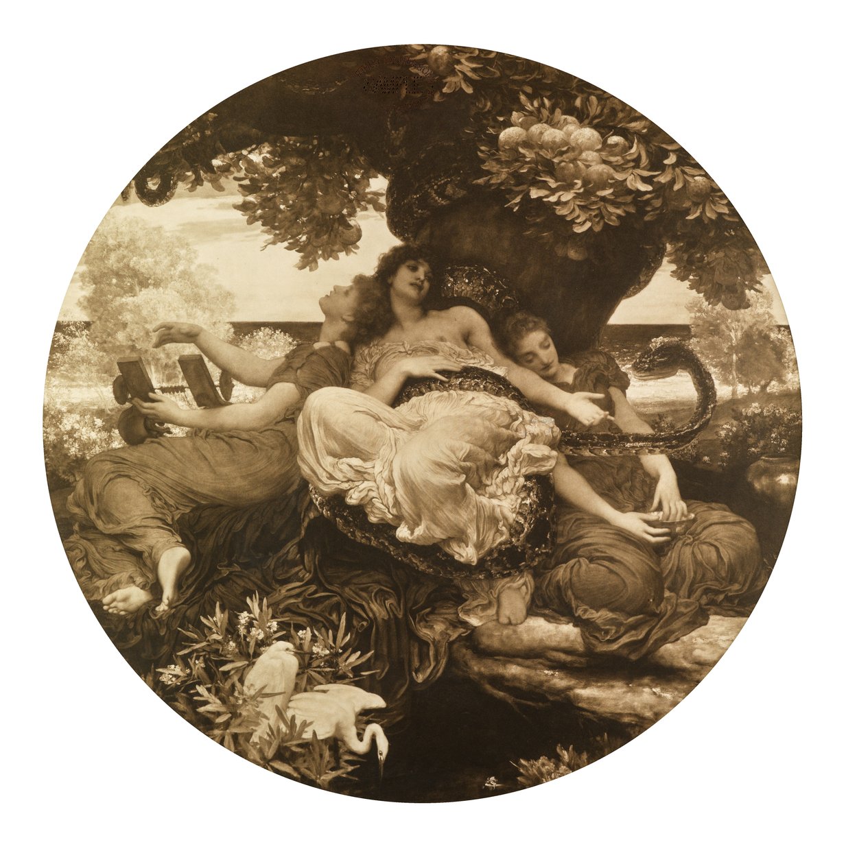 Hesperides Bahçesi (fotogravür) by Frederic Leighton