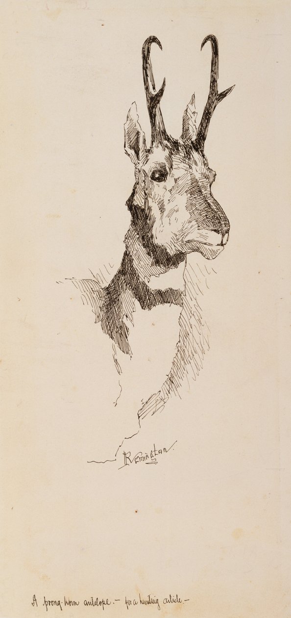 Bir Pronghorn Antilopu by Frederic Remington