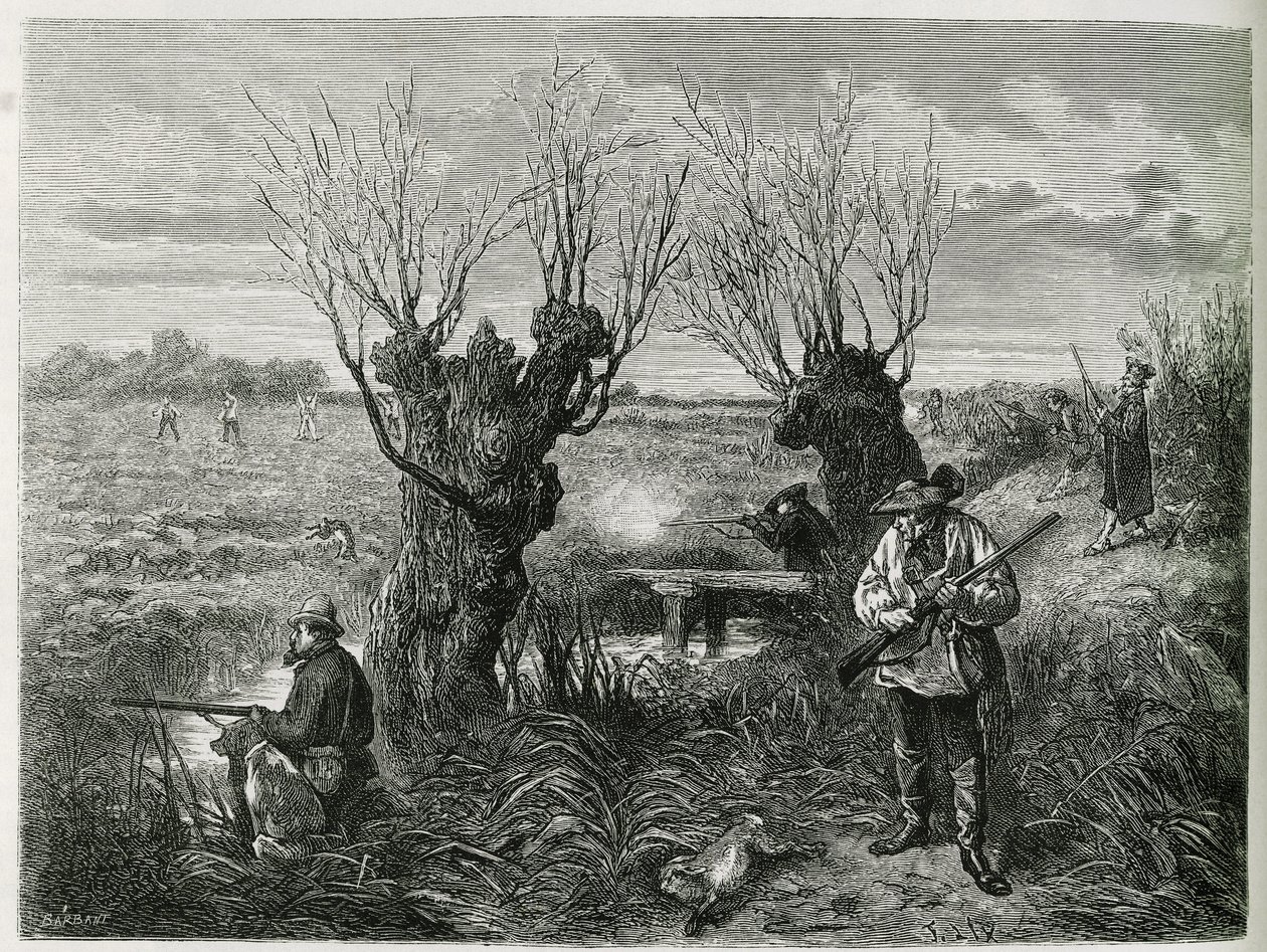 Tavşan avla. Charles Grad tarafından 1884