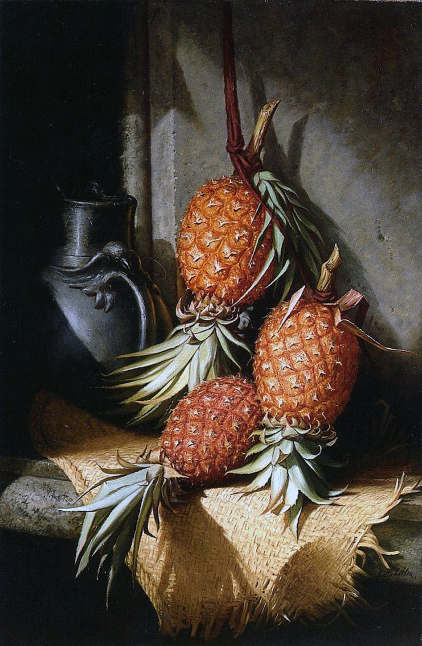 Ananas, c.1880 by Frederick S. Batcheller