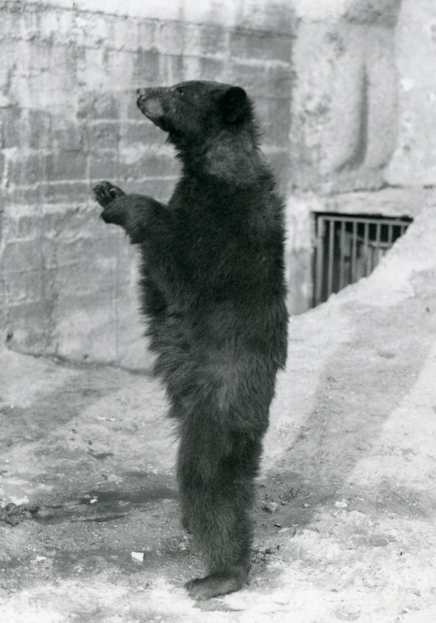 1921