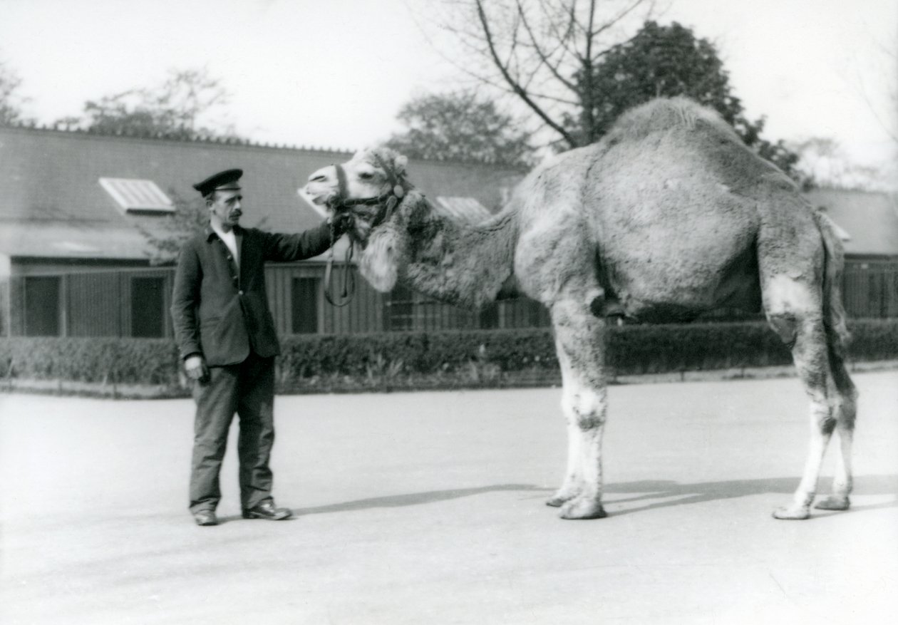 1923
