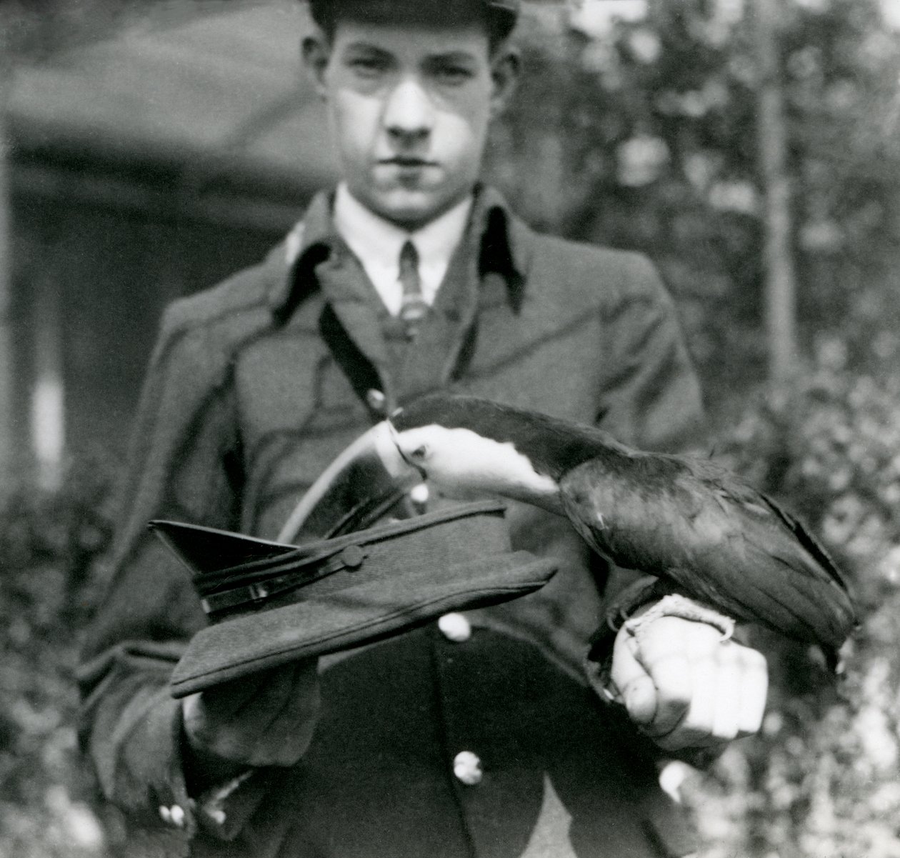Kırmızı gagalı bir Toucan, bekçi C. Hersey tarafından tutulan bir şapkadan bir bilet çekiyor, Londra Hayvanat Bahçesi, 1923 (bw fotoğraf) by Frederick William Bond