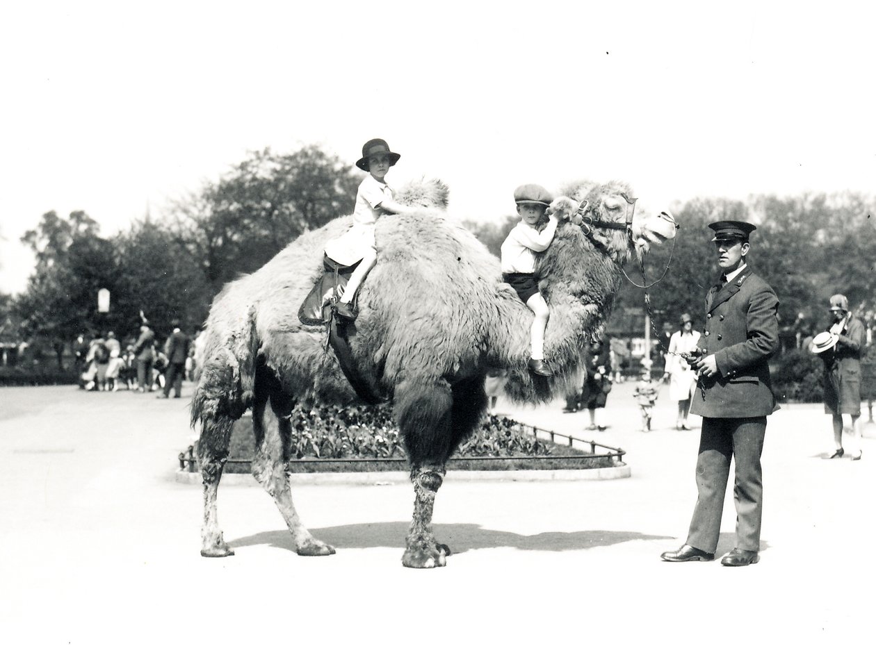 ZSL ಲಂಡನ್ ಮೃಗಾಲಯದಲ್ಲಿ ಒಂಟೆ ಸವಾರಿ, ಸೆಪ್ಟೆಂಬರ್ 1928 ಟರ್ಕ್ by Frederick William Bond