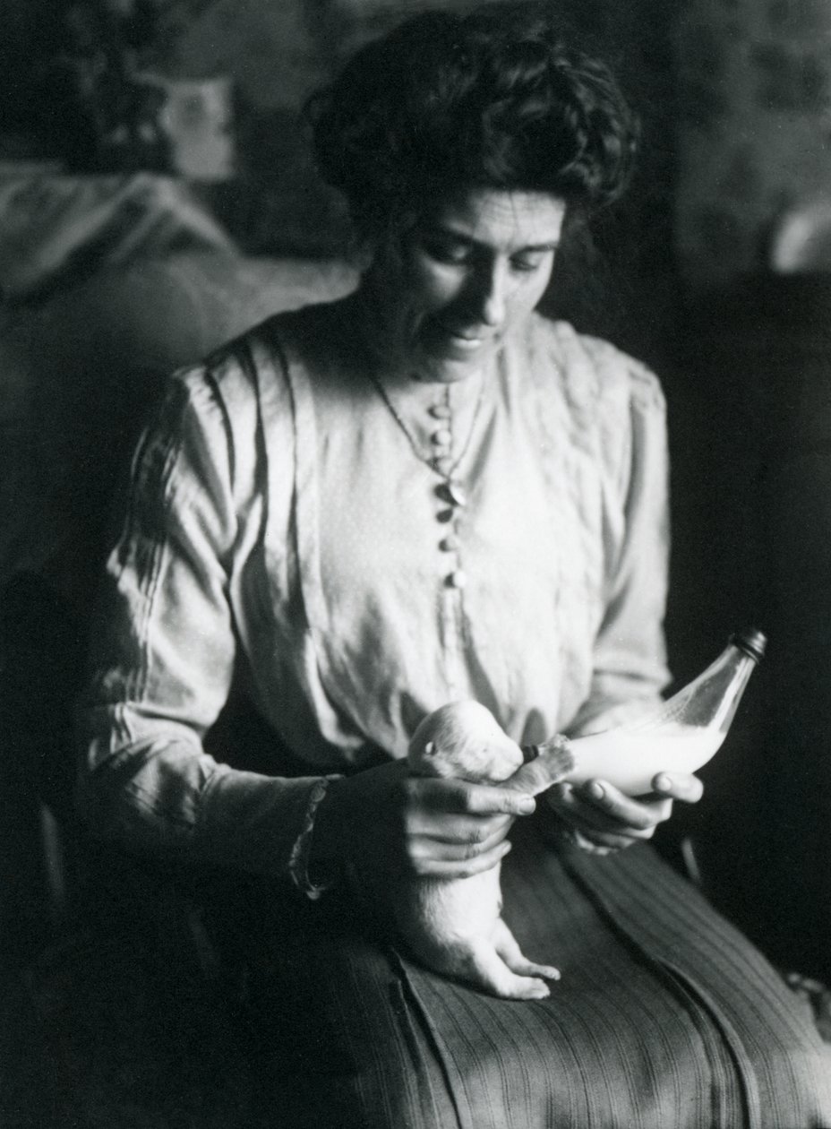 Bir bakıcının karısı yeni doğmuş bir Kutup Ayısı yavrusunu biberonla besliyor, Londra Hayvanat Bahçesi, c.1914 by Frederick William Bond