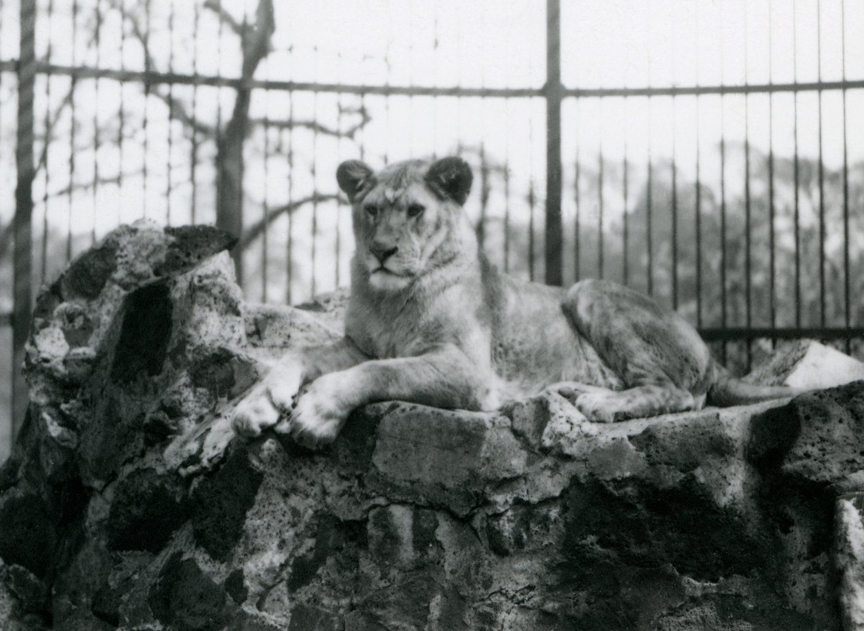 1923