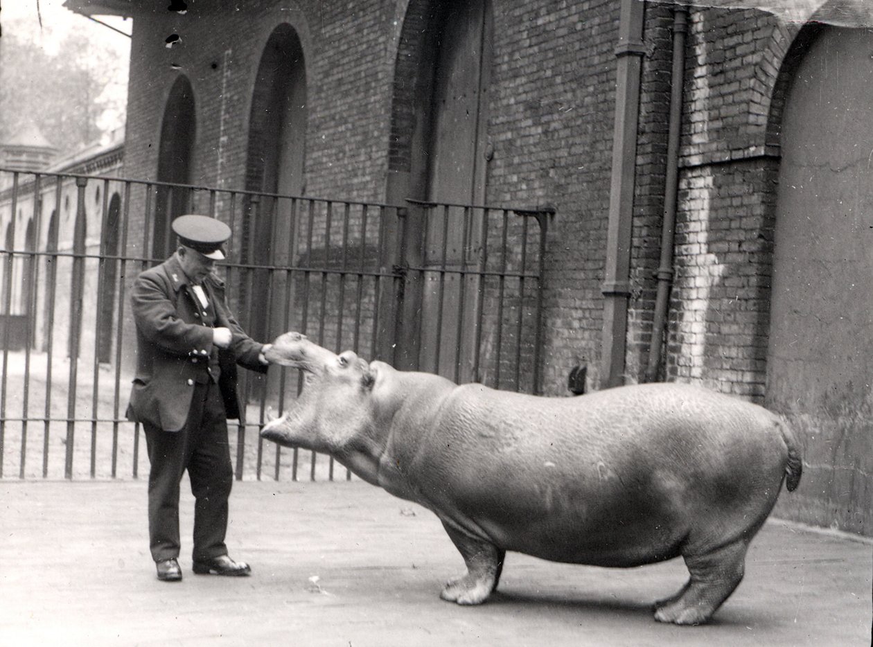 Ernie Bowman ve Bobbie