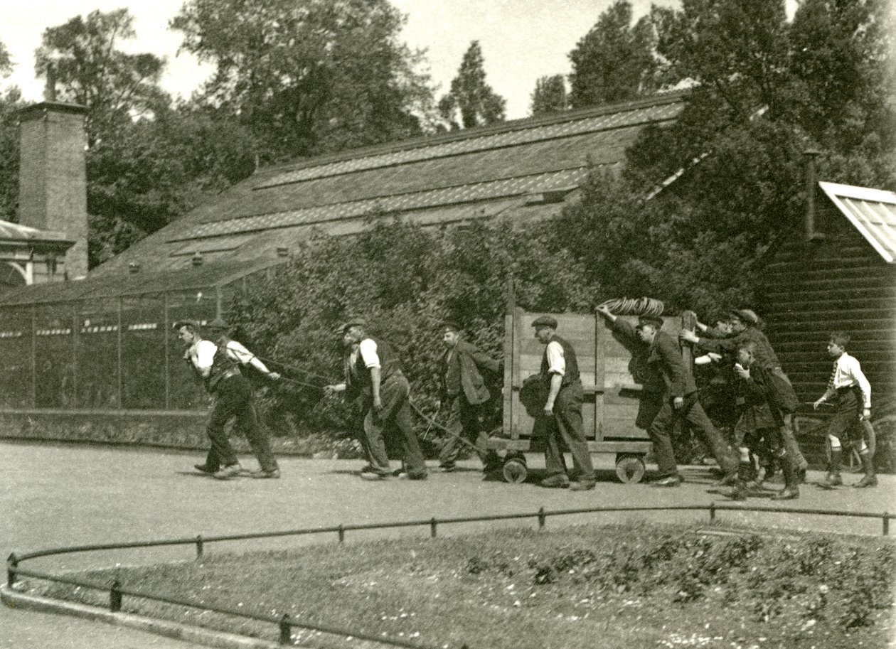 Leoparı tahta bir sandık içinde hareket ettiren adamlardan oluşan bir ekip, ardından iki erkek çocuk, Londra Hayvanat Bahçesi, 1922 (bw fotoğraf) by Frederick William Bond