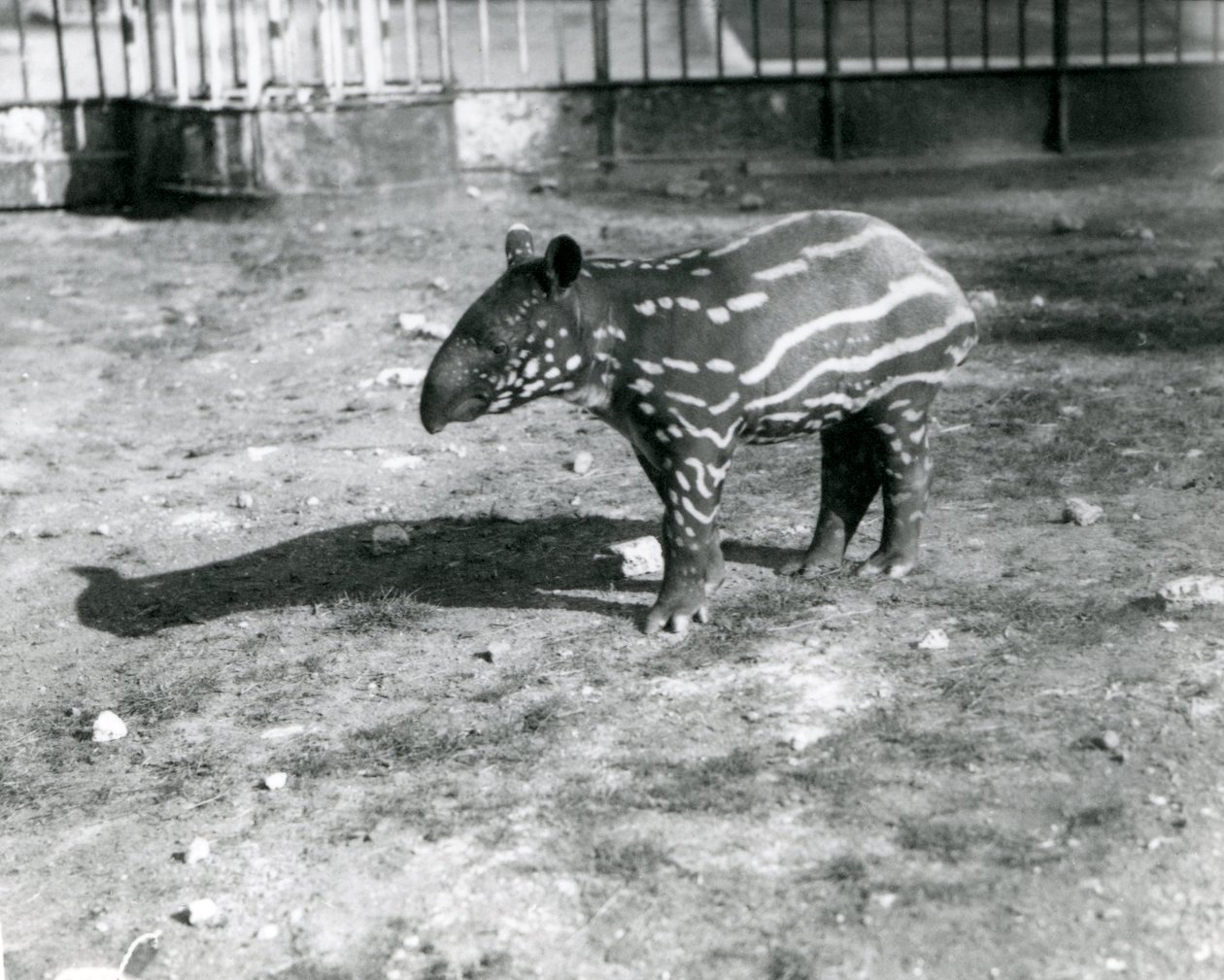 5 Ekim 1921