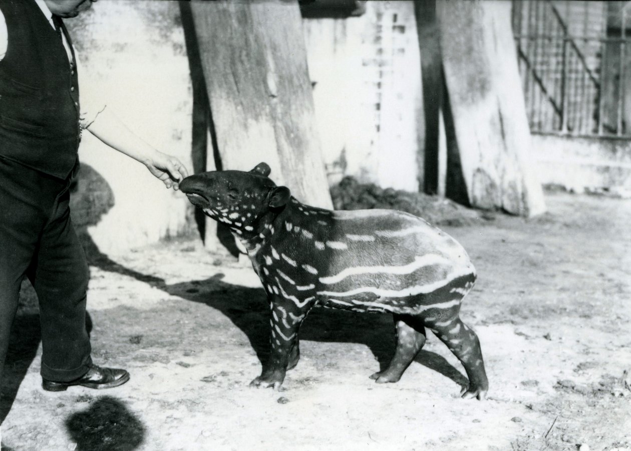 18 Ekim 1921