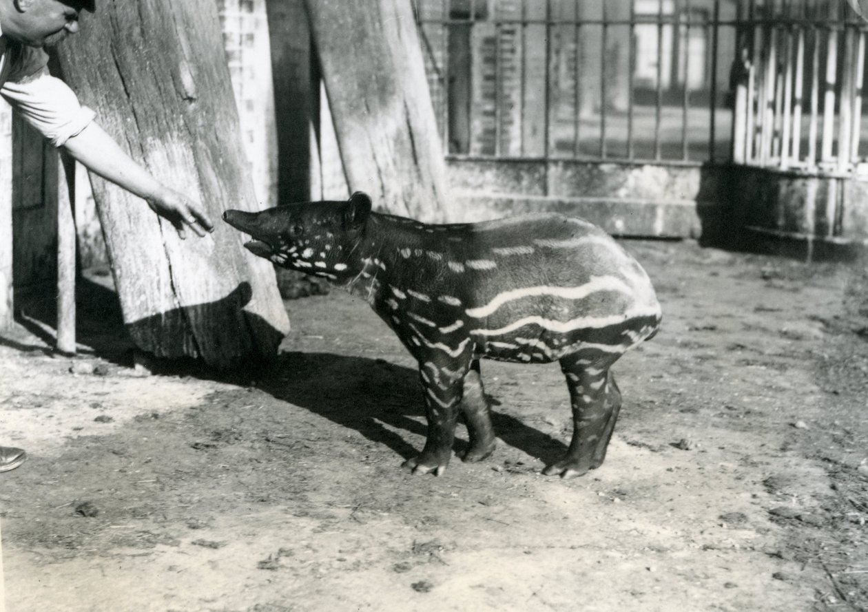 18 Ekim 1921