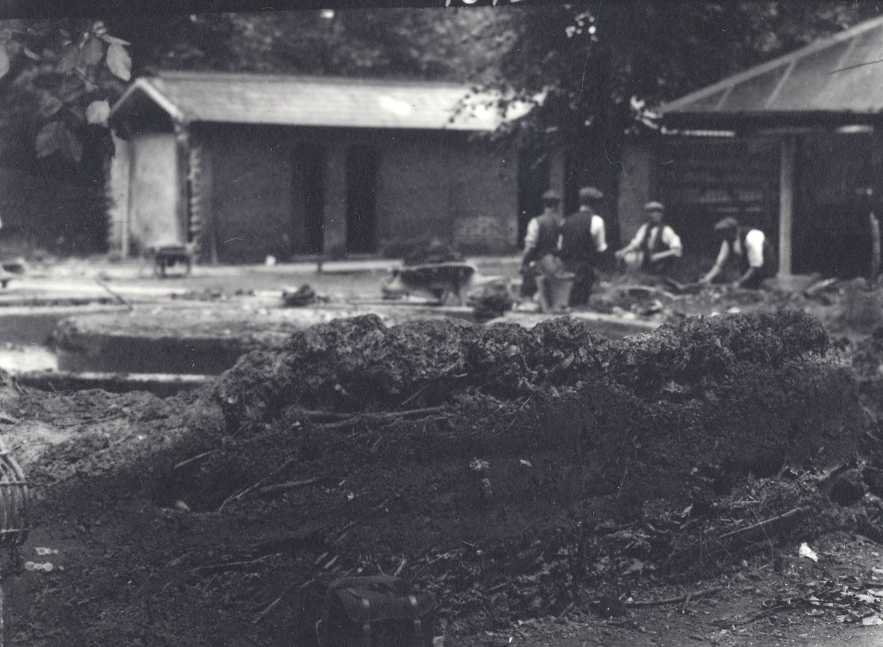 Arka planda bekçileri olan kunduz kulübesi, Londra Hayvanat Bahçesi, Temmuz 1916 by Frederick William Bond