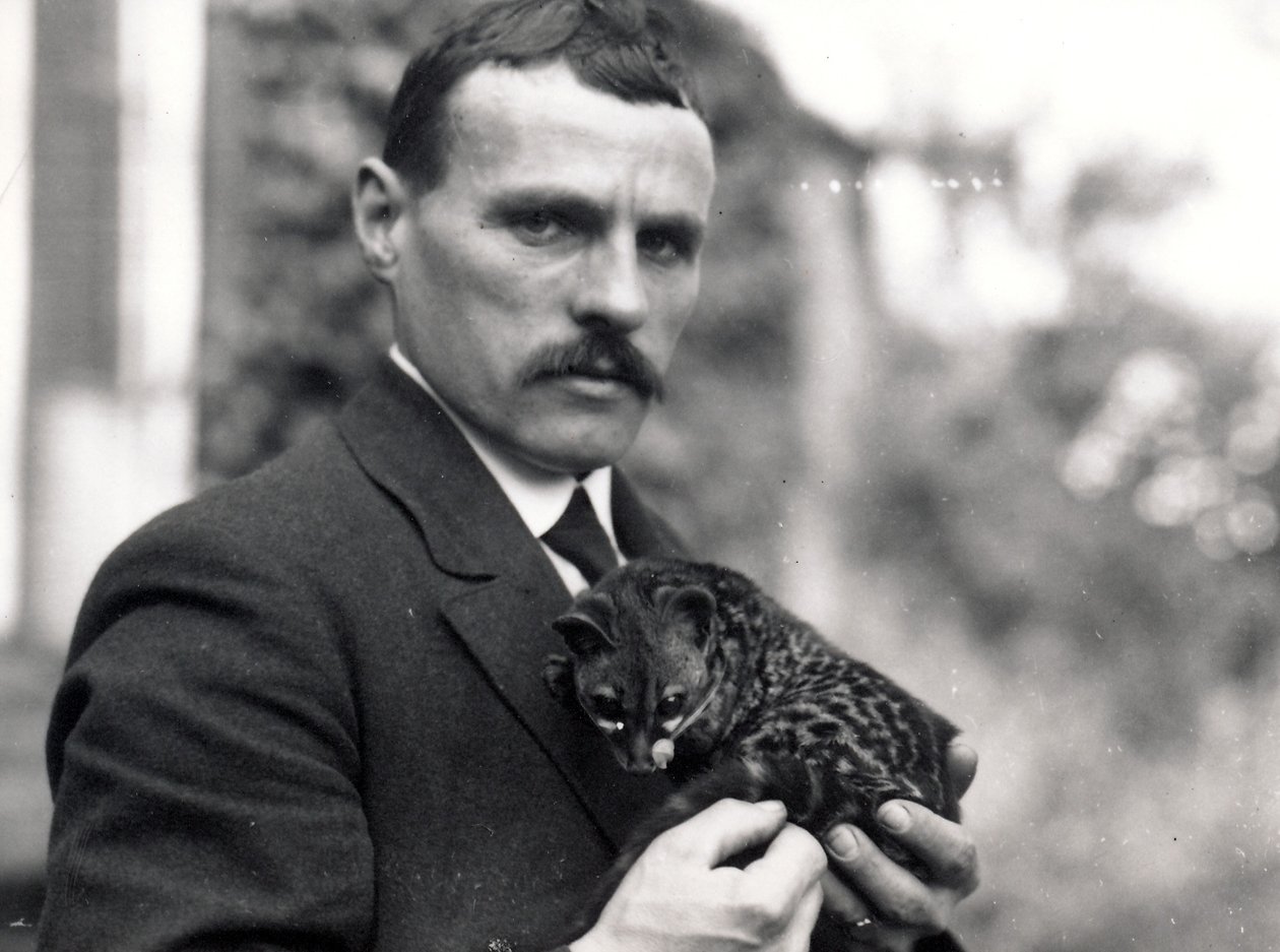 ಜೆನೆಟ್‌ನೊಂದಿಗೆ ಚಾರ್ಲಿ ಡಿಕ್ಸನ್, 1916 ಟರ್ಕ್ by Frederick William Bond