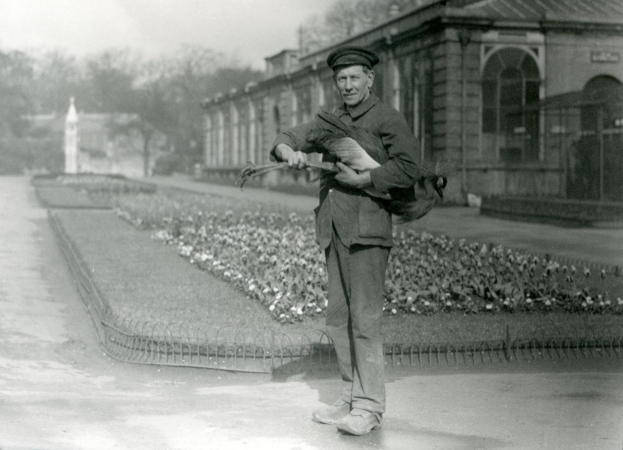 Gri taçlı bir turna taşıyan Gardiyan G. Blore, Londra Hayvanat Bahçesi, Mayıs 1923 (bw fotoğraf) by Frederick William Bond