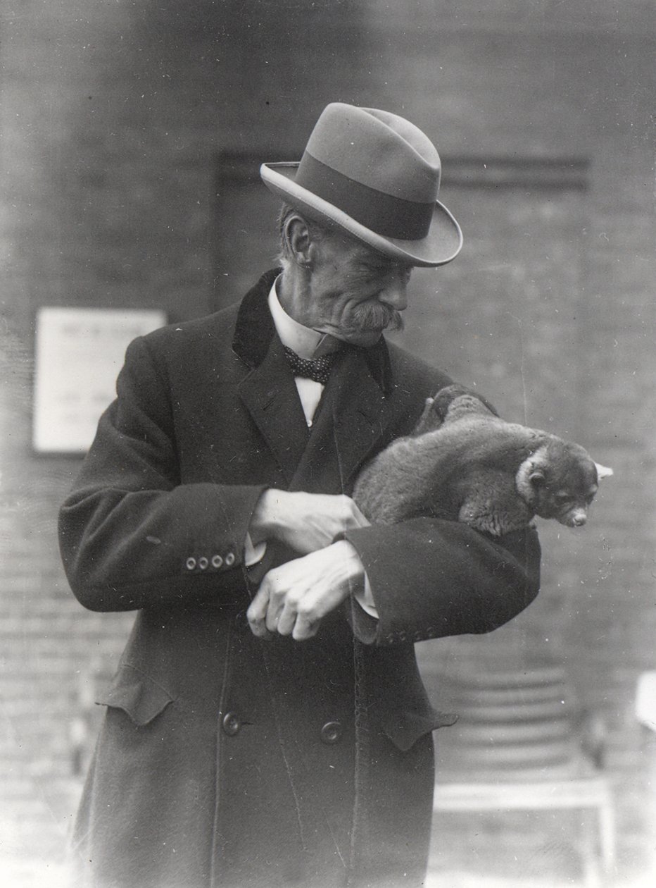 Kinkajou ile R. I. Pocock by Frederick William Bond