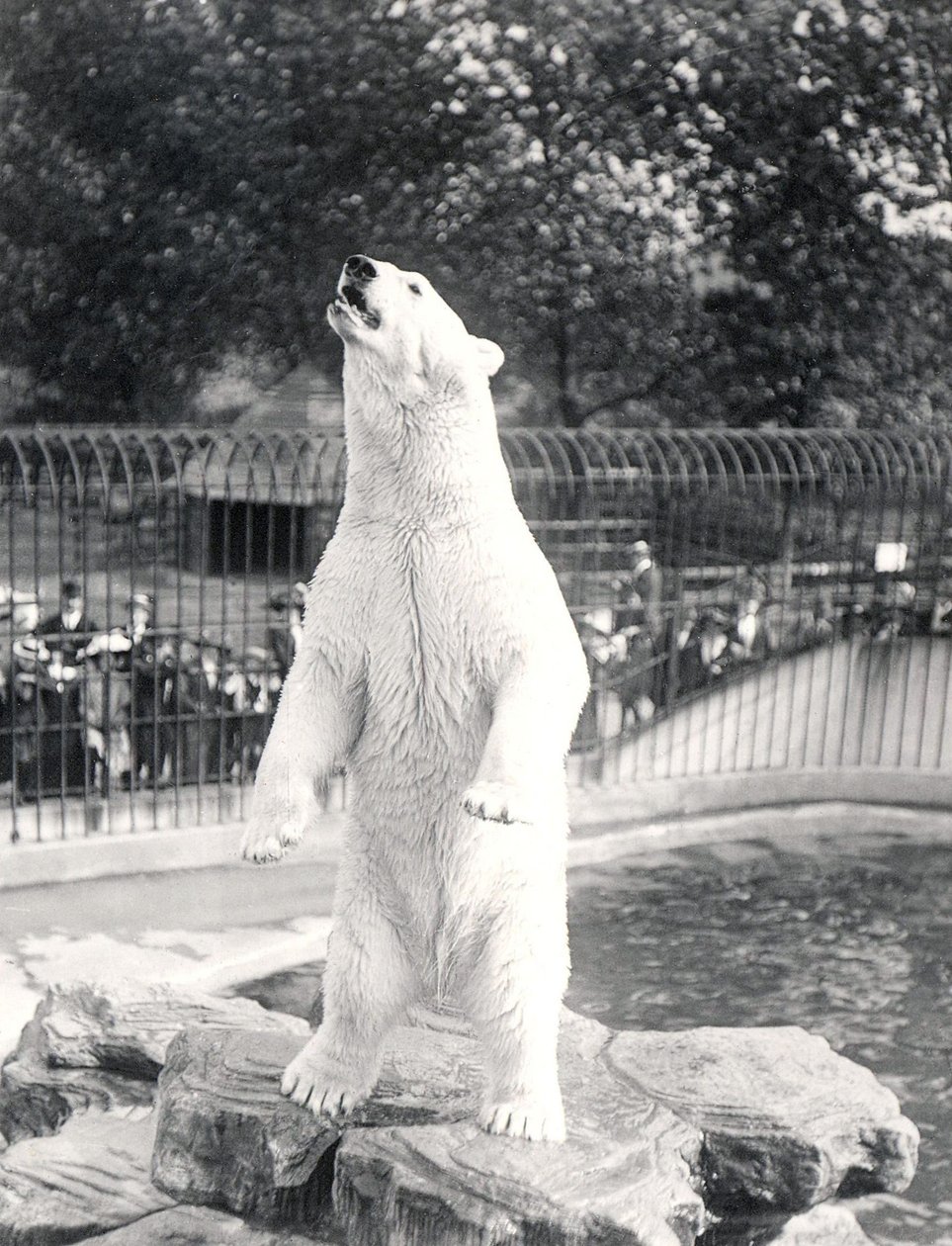 ZSL Londra Hayvanat Bahçesi