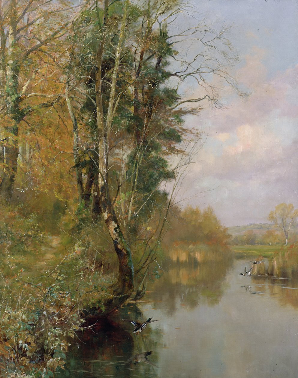 Frome Nehri, Morton nr Dorchester, 1901 by Frederick William Newton Whitehead