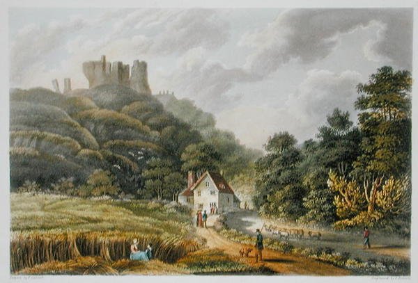 Carisbrook, 