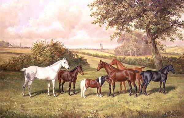Bir Grup Midilli by Frederick Albert Clark