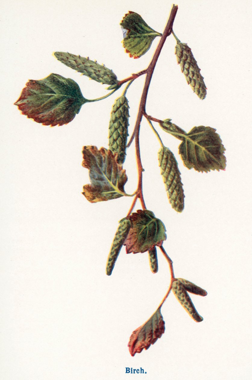  by Frederick Edward Hulme