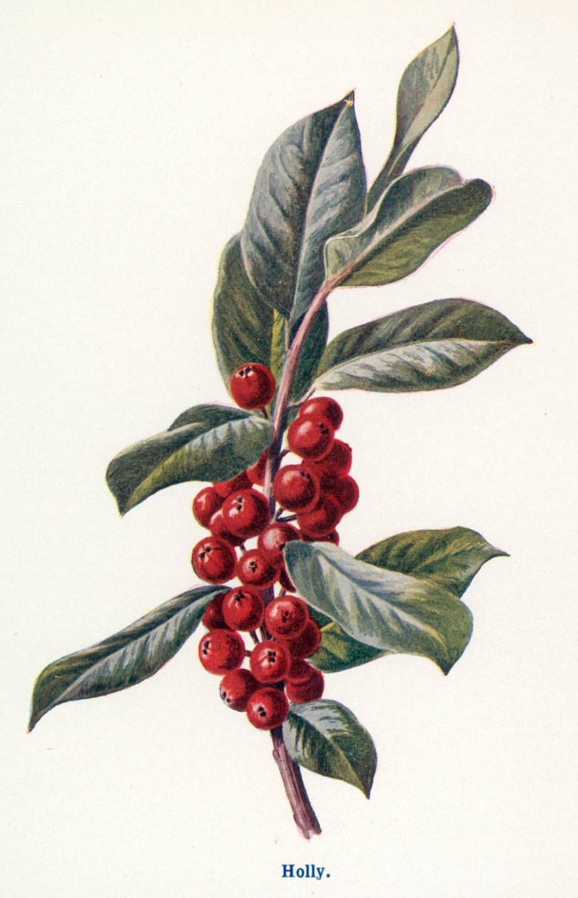  by Frederick Edward Hulme