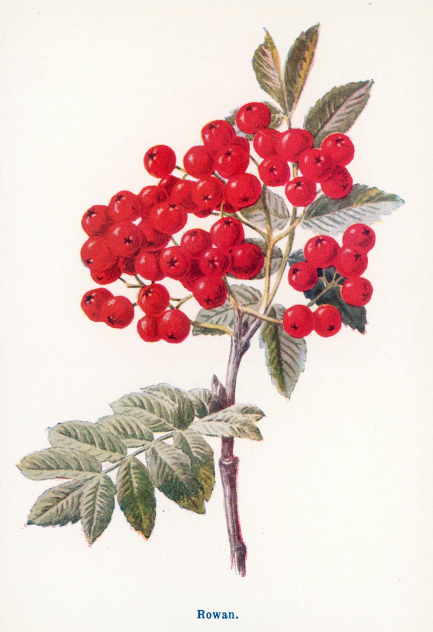  by Frederick Edward Hulme