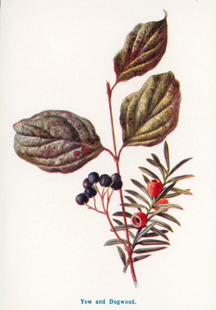  by Frederick Edward Hulme