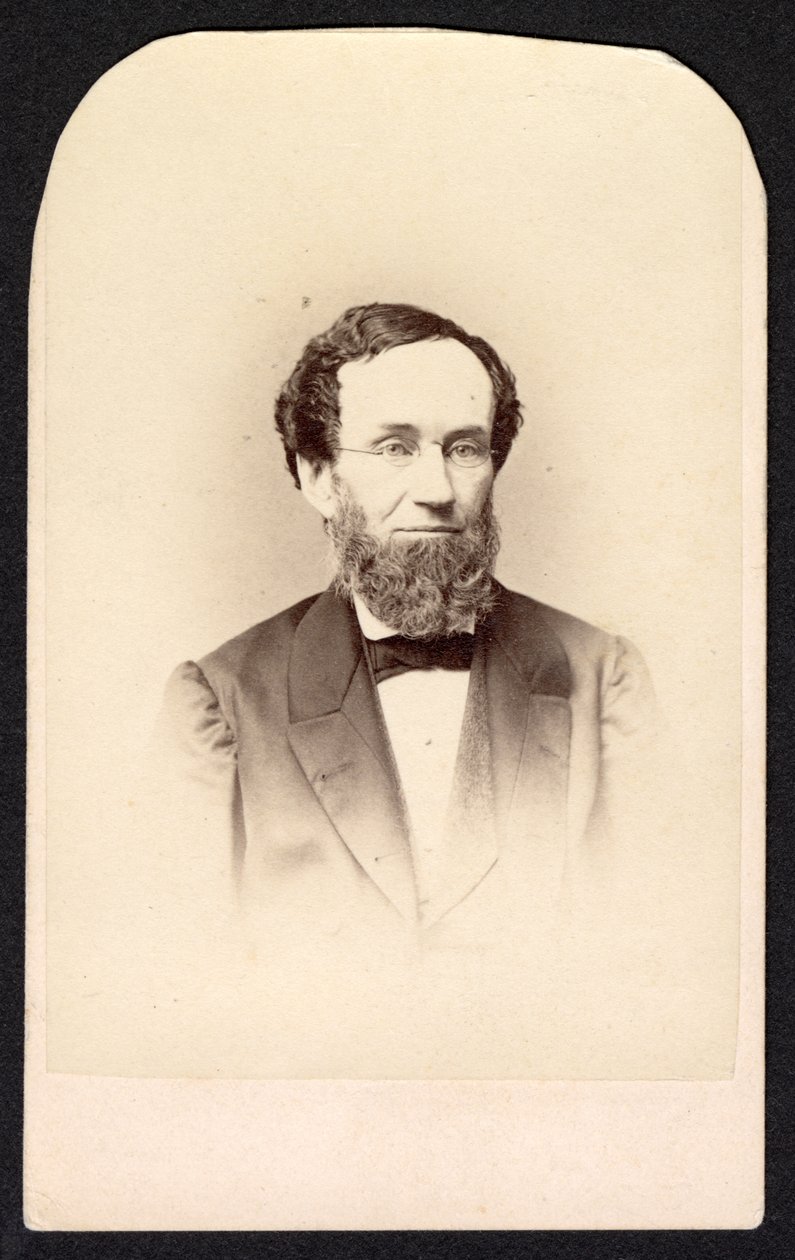 Tanımlanamayan Bir Adamın Portresi, 1860