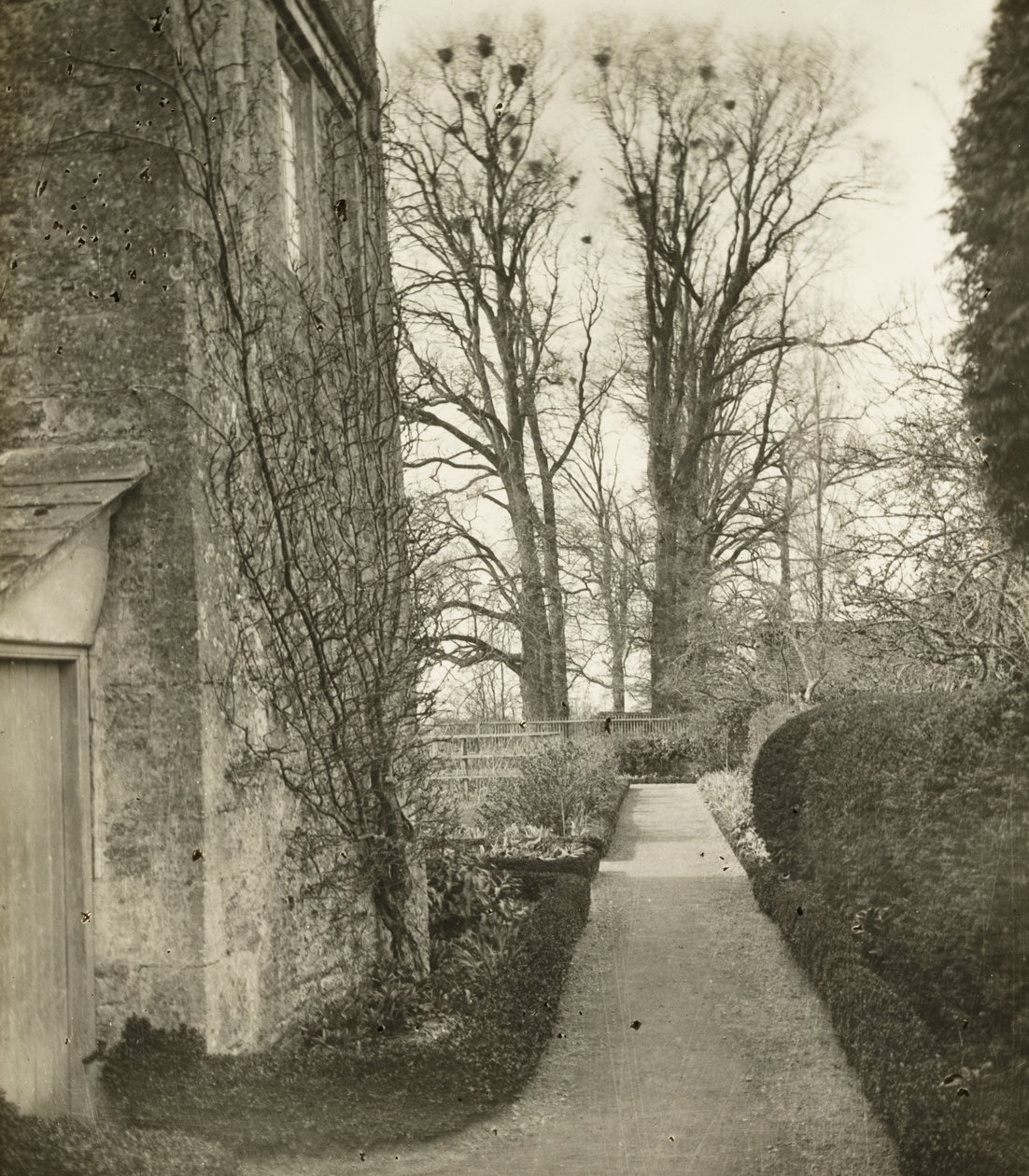 Kelmscott Malikanesi: Bahçede by Frederick H. Evans