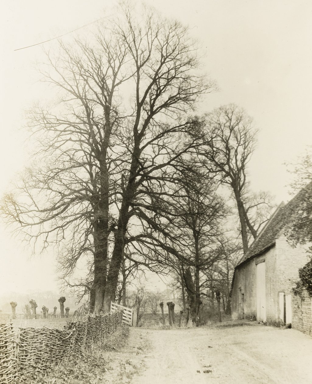  by Frederick H. Evans
