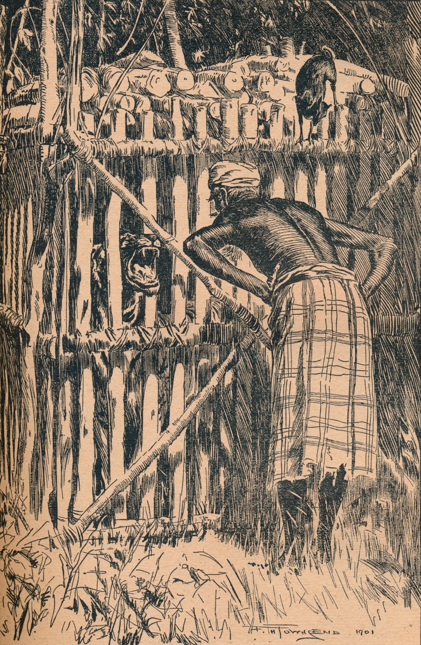 Bir Doğu Ormanından Skeats Masalları ve Halk Masalları için İllüstrasyon, 1901 by Frederick Henry Townsend