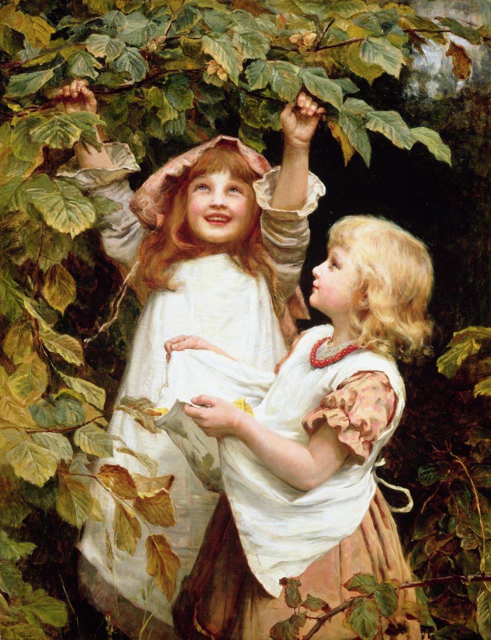 fındık by Frederick Morgan