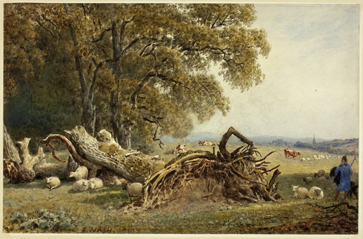 Kökleri Sökülmüş Ağaçtan Koyunlar, İnekler ve Çoban by Frederick Nash