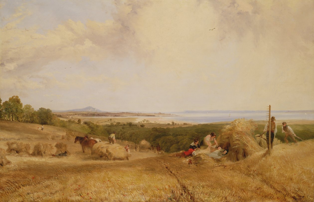 Hasat Tarlası, 1846 by Frederick Richard Lee