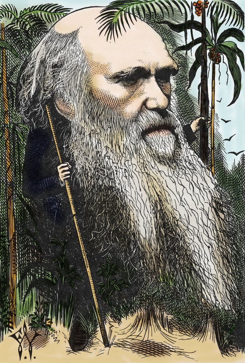 Charles DARWIN (1809-1882) 1873 tarihli “Haftada Bir Kez” filminde F. Waddy