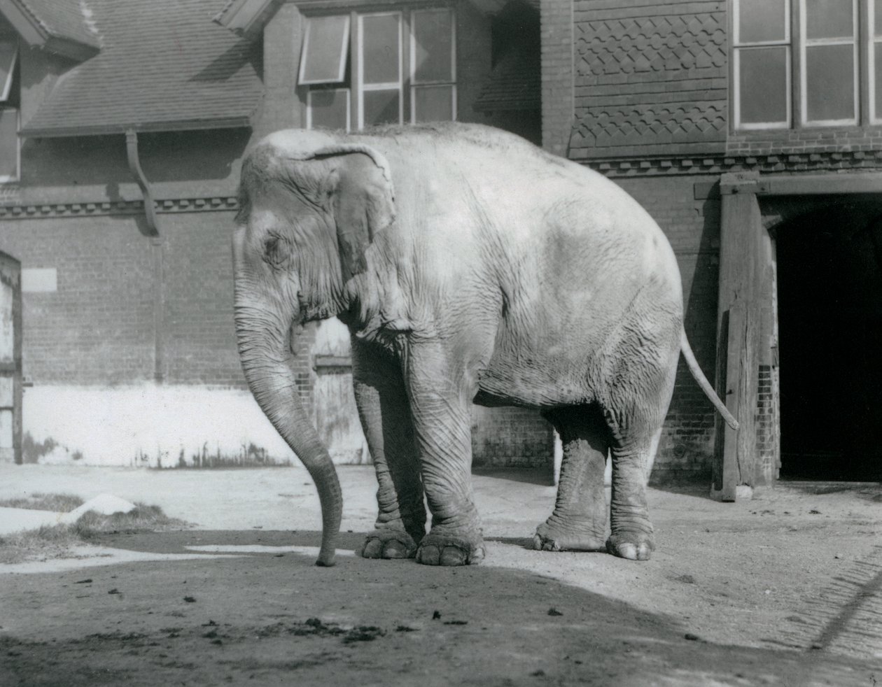 1929