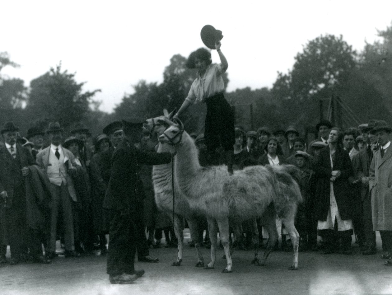 Bir Cowgirl, 1924