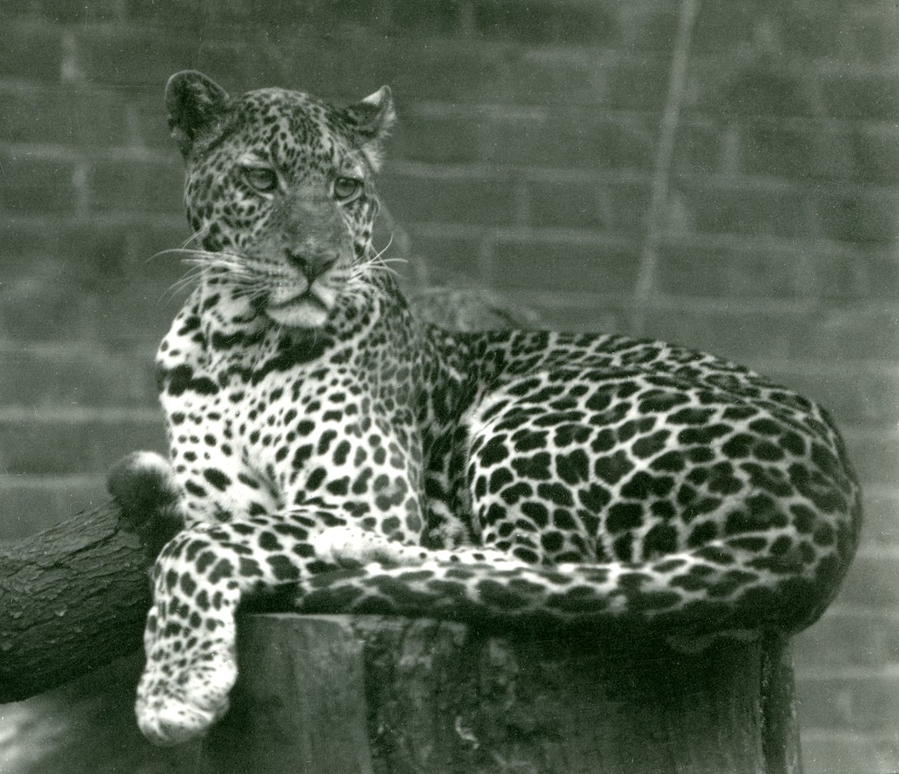 1924