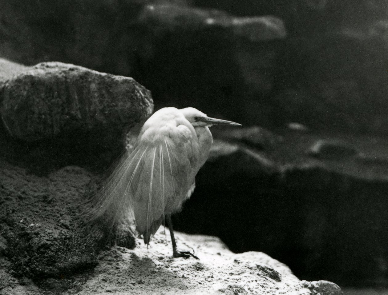 1930