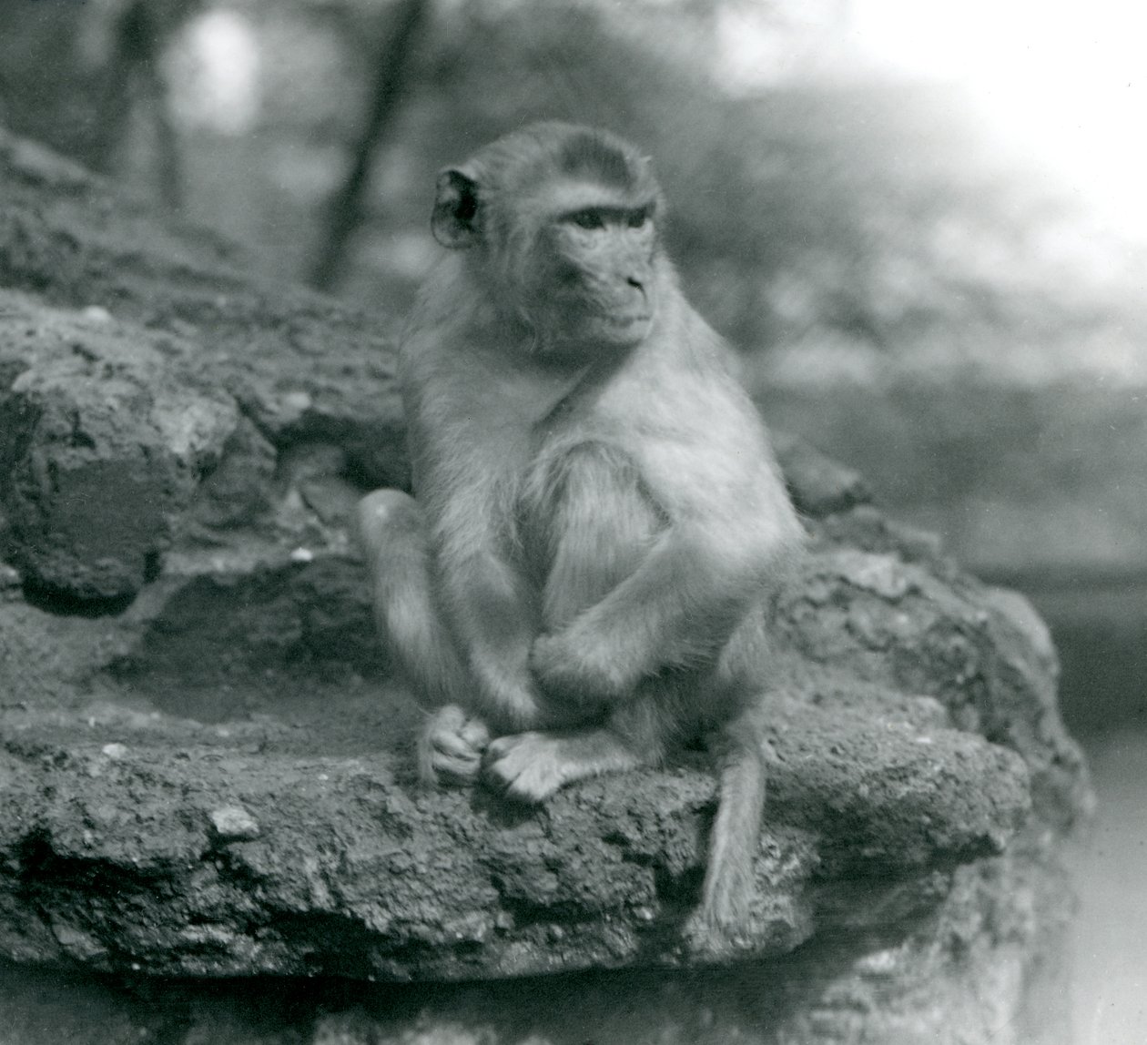 1924