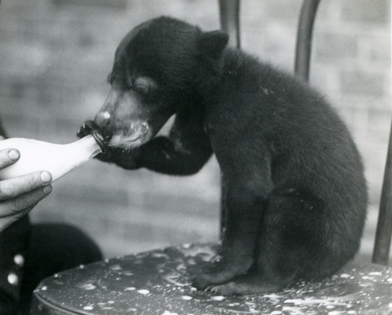 1920