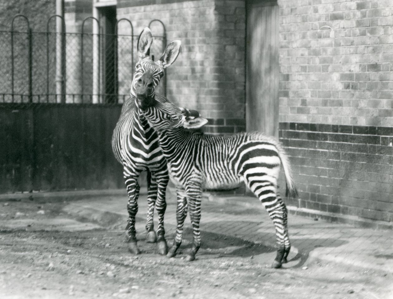 1929