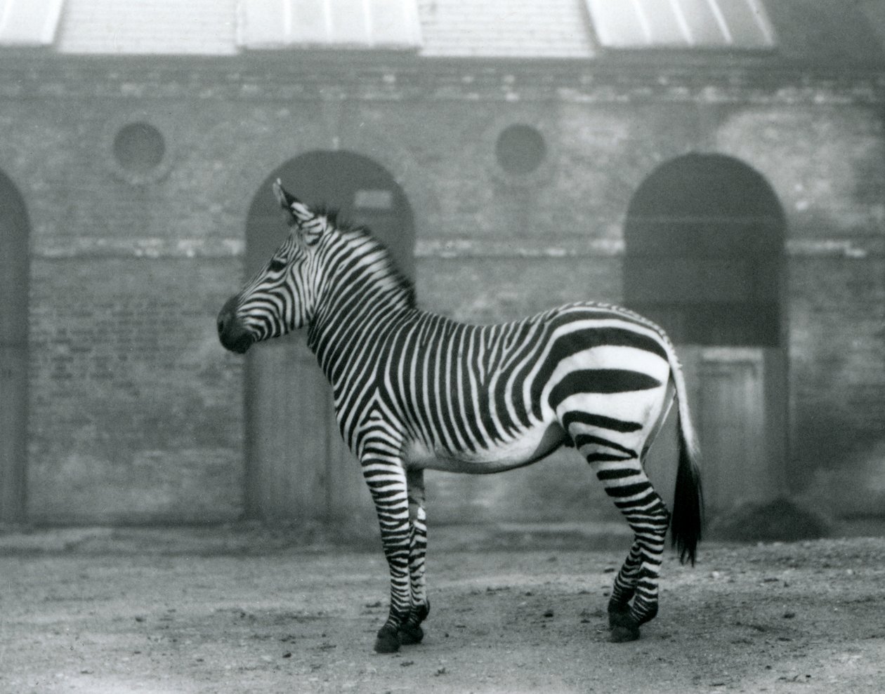 1927