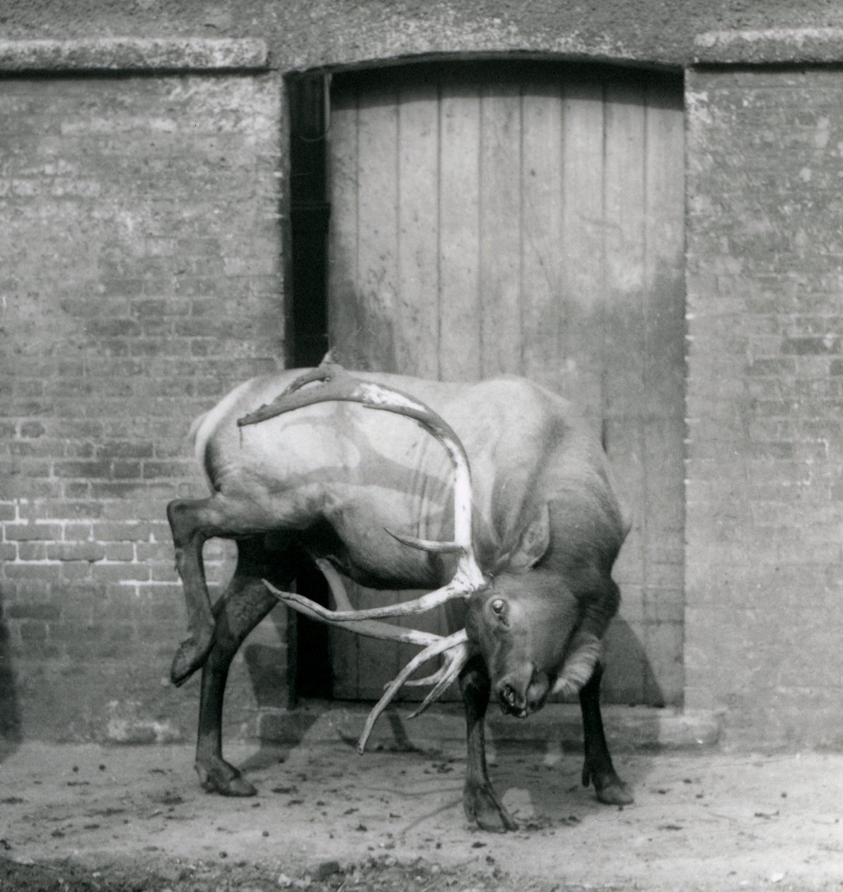Eylül 1927