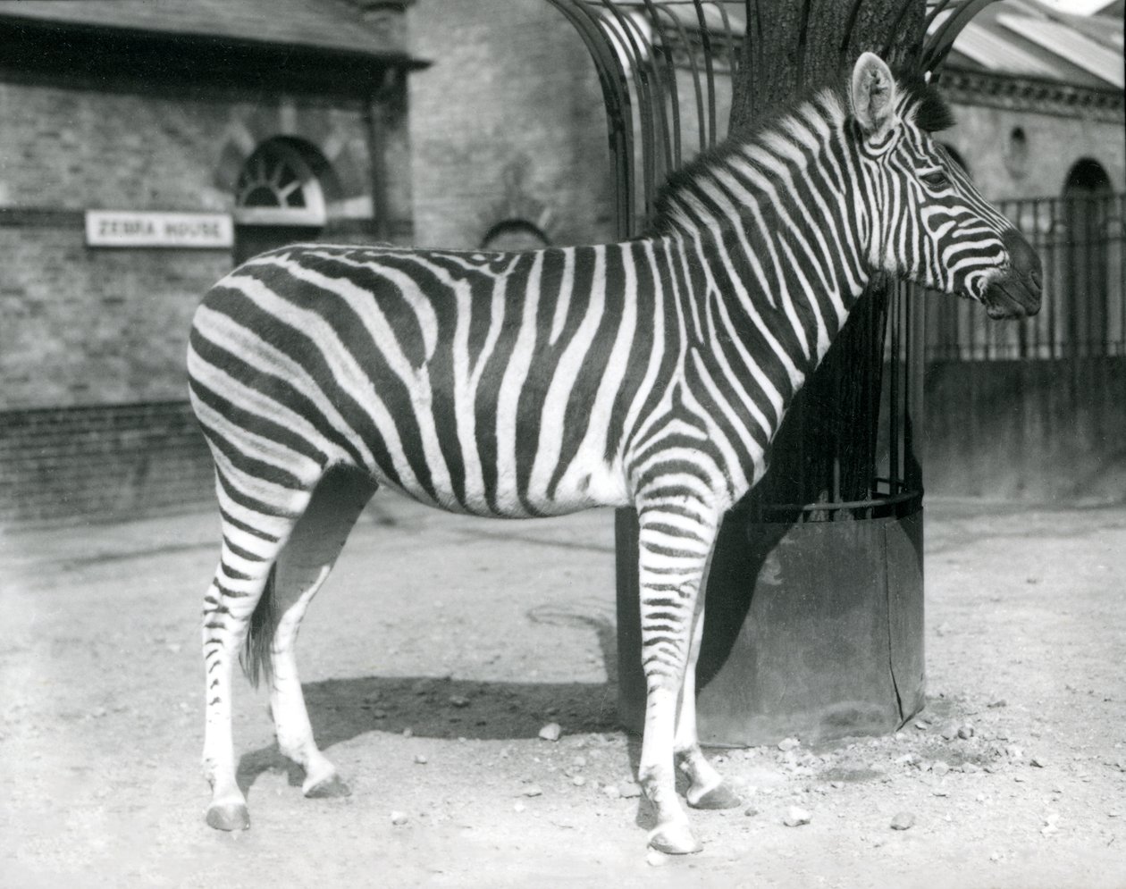 1925