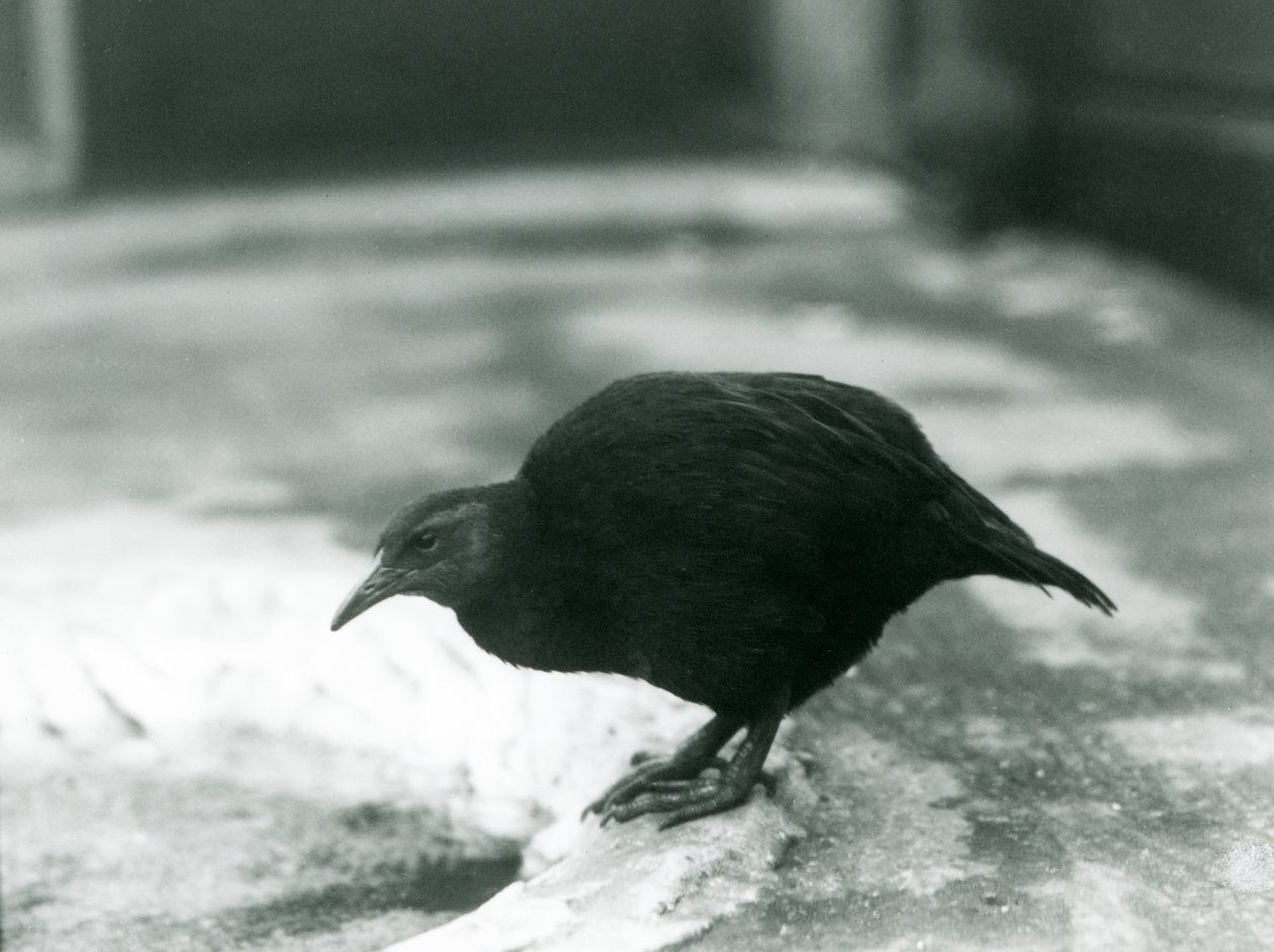 1927