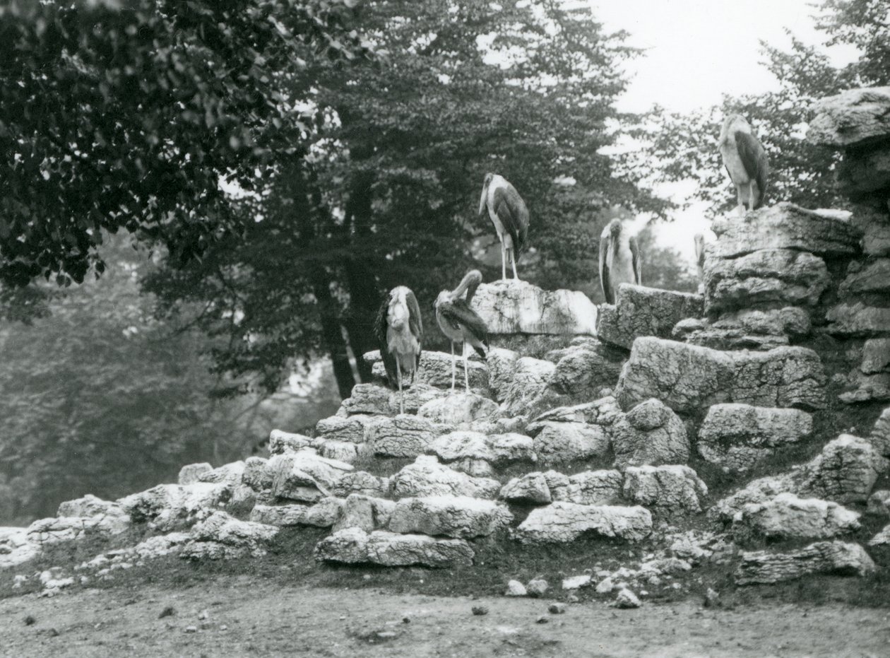 1928